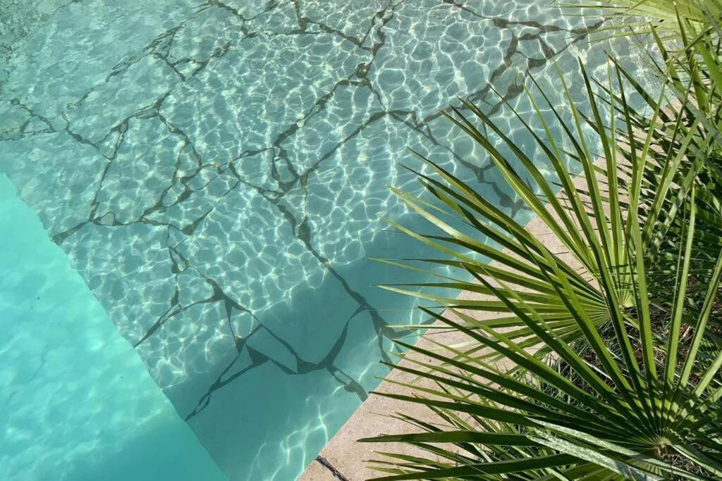 Villa Des Oliviers Avec Piscine Chassagny ภายนอก รูปภาพ